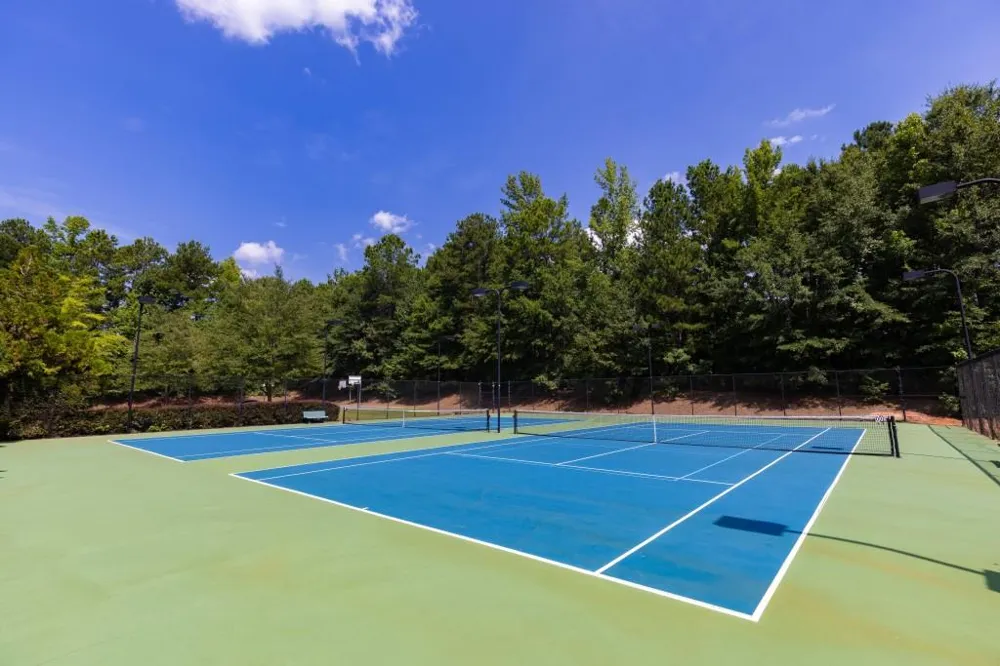 155 Savannah Drive Senoia, GA 30276