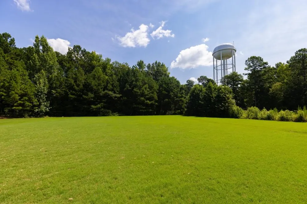 155 Savannah Drive Senoia, GA 30276