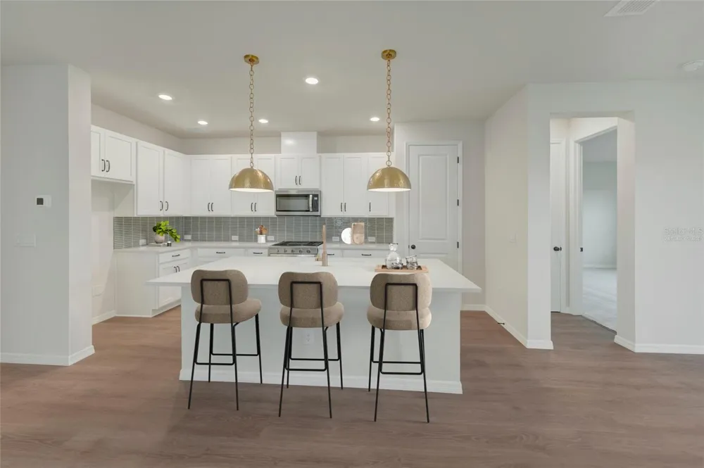 5024 CHAPEL ROW AVENUE Apollo Beach, FL 33572
