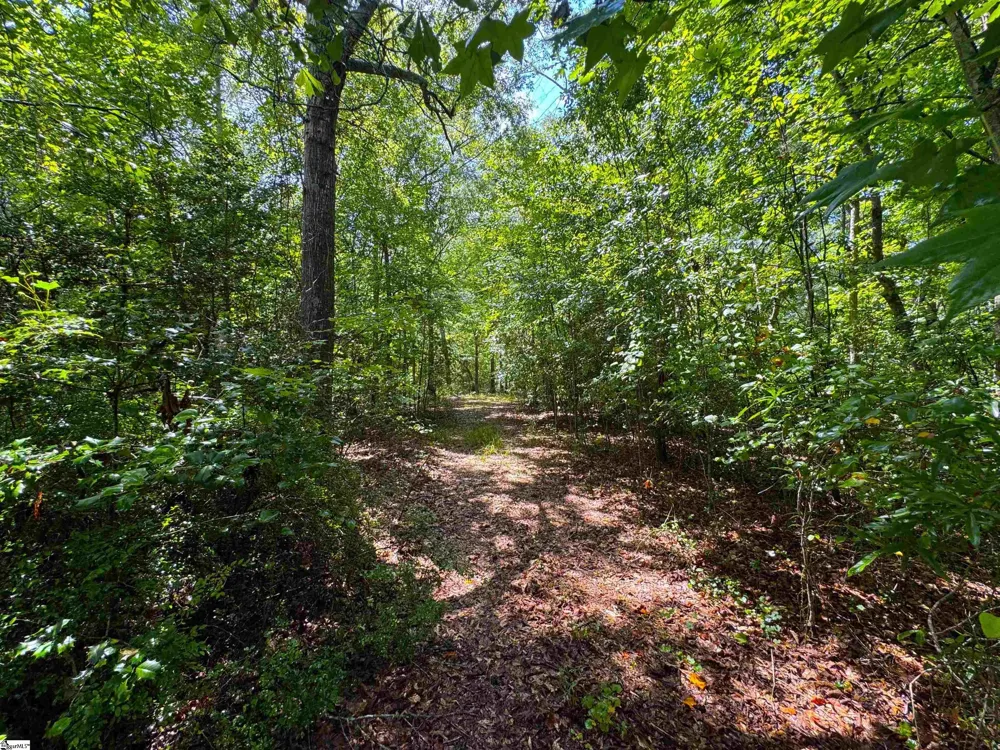 89 Lake Forest Drive Iva, SC 29655
