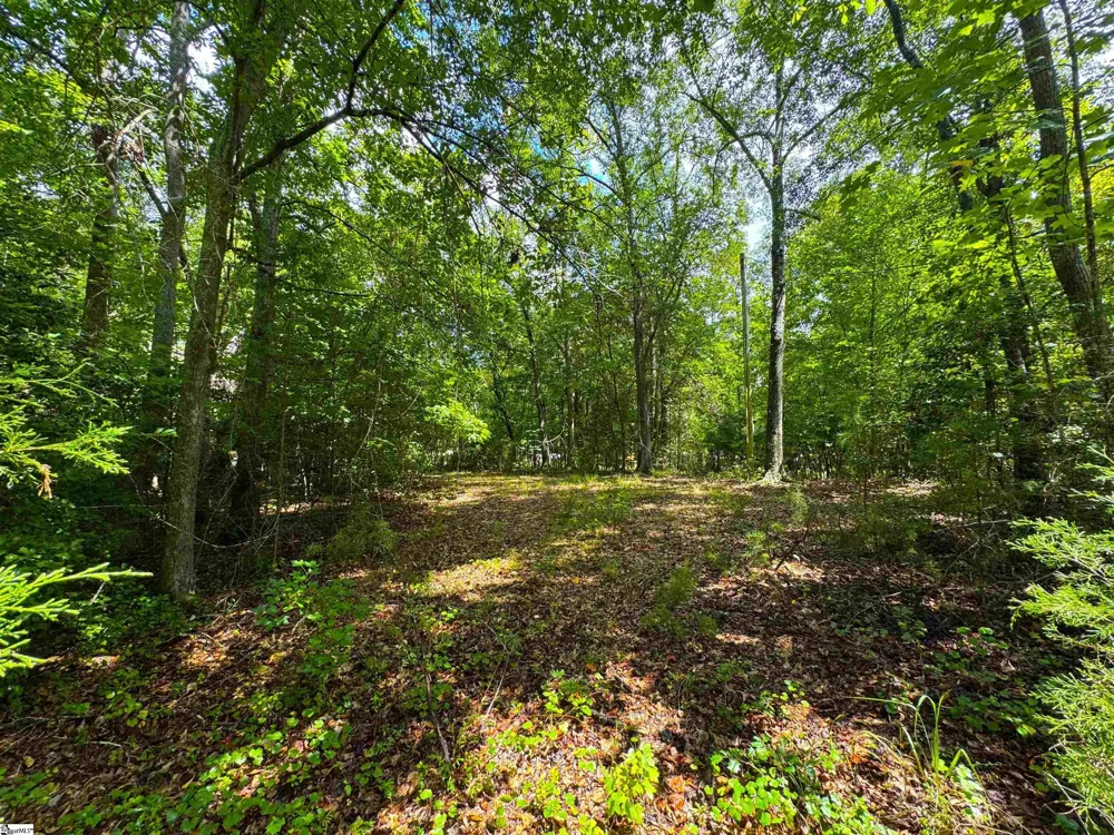 89 Lake Forest Drive Iva, SC 29655