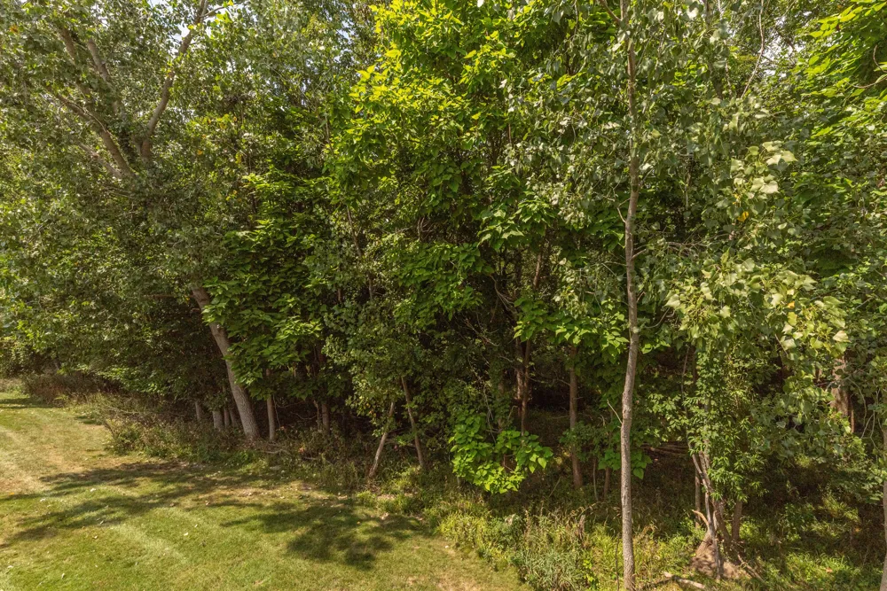 535 Sycamore Circle Saline, MI 48176