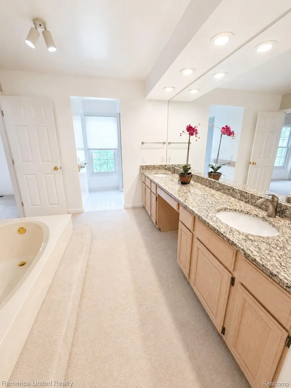 39656 Village Run Drive Northville Township, MI 48168