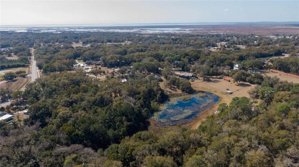 5049 KING AVENUE Zellwood, FL 32798