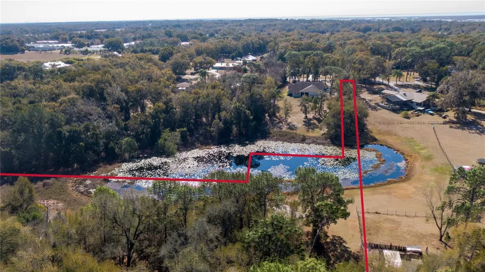 5049 KING AVENUE Zellwood, FL 32798