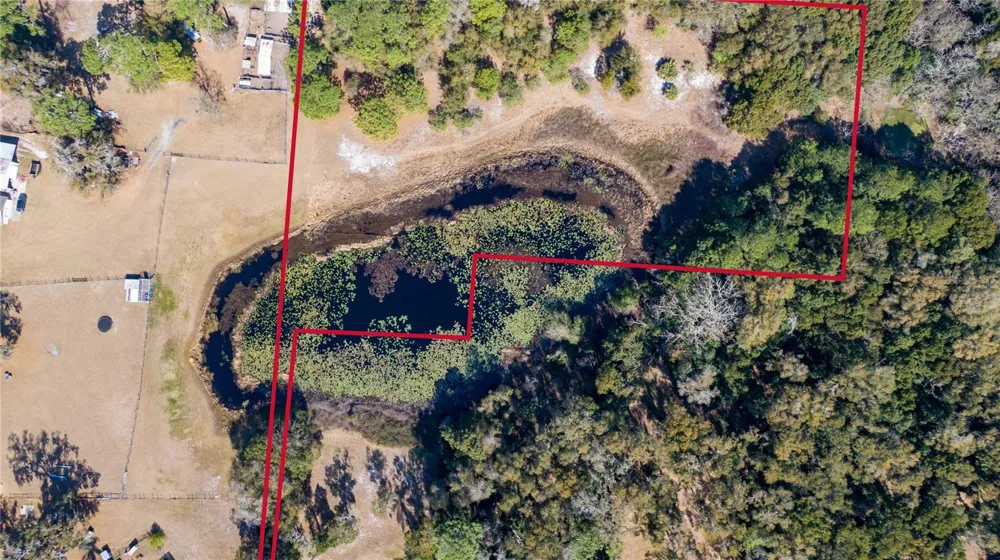 5049 KING AVENUE Zellwood, FL 32798