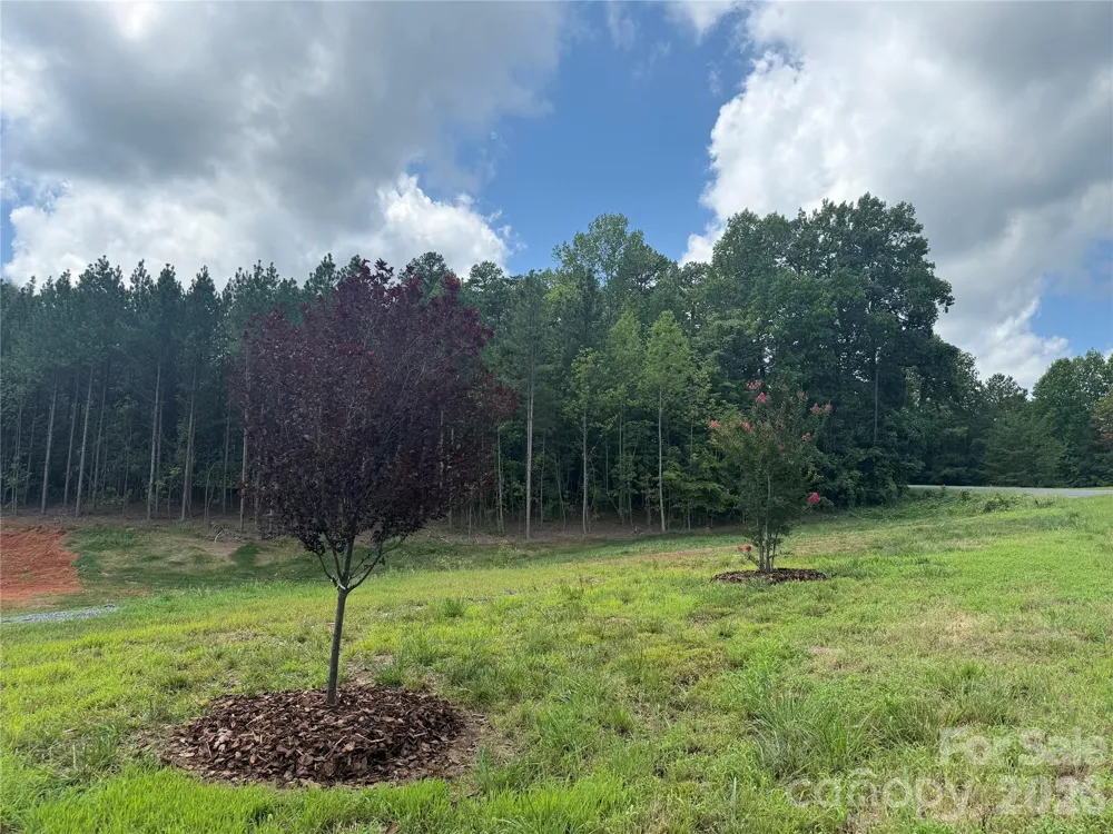 10300 Fink Road #1 Mount Pleasant, NC 28124