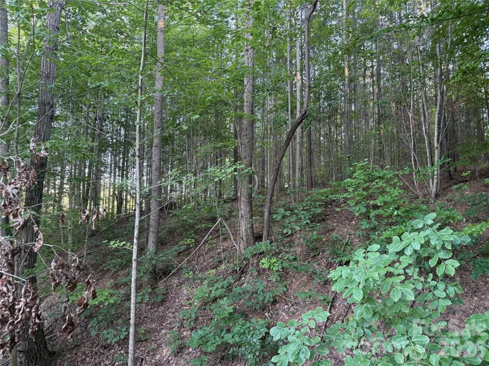 10300 Fink Road #1 Mount Pleasant, NC 28124