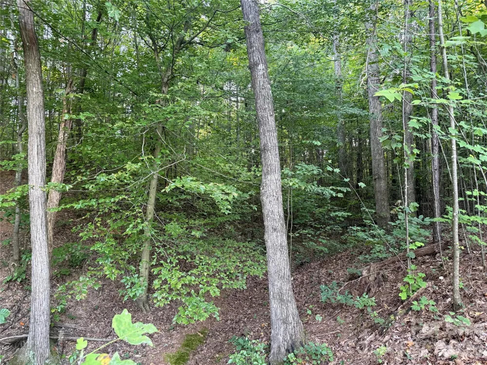 10300 Fink Road #1 Mount Pleasant, NC 28124