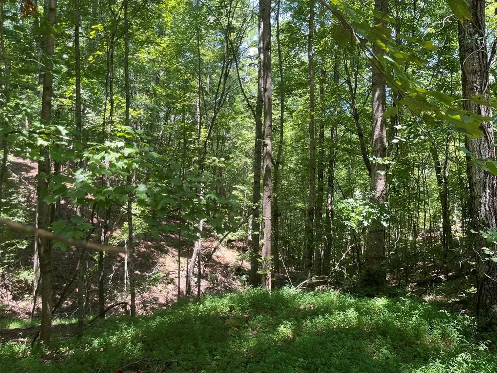 0 S Twin Oaks Drive Ellijay, GA 30540