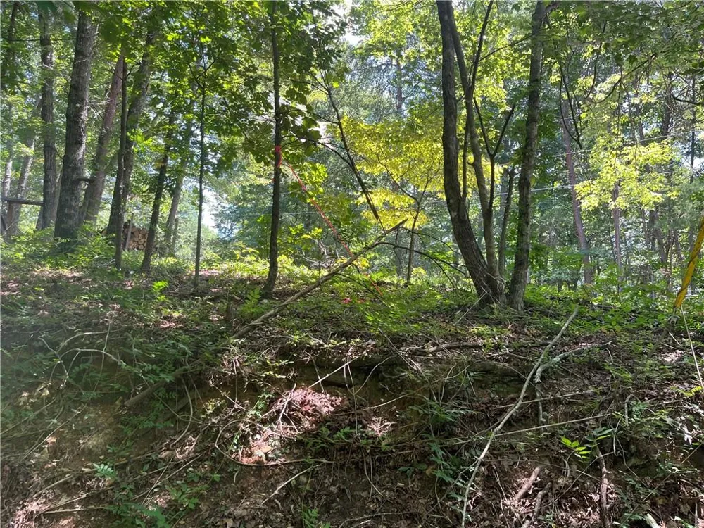 0 S Twin Oaks Drive Ellijay, GA 30540