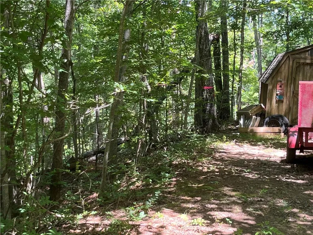 0 S Twin Oaks Drive Ellijay, GA 30540