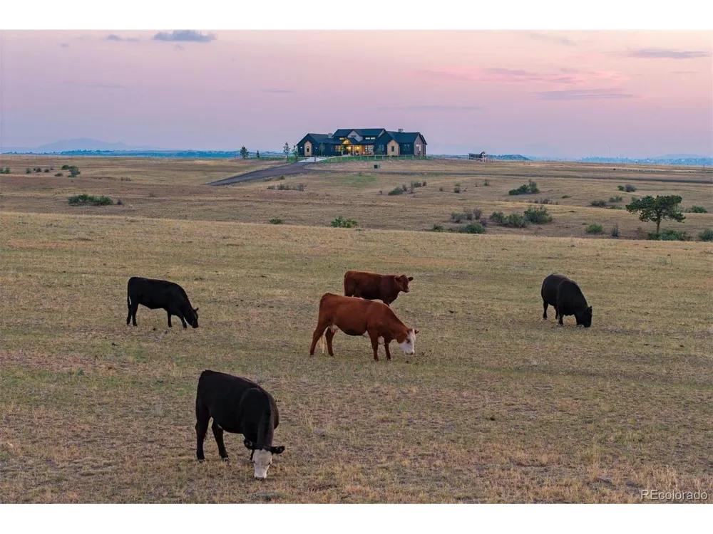 7497 Fox Creek Trail Franktown, CO 80116