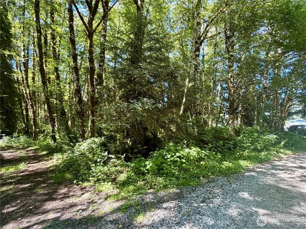 292 Sportmans Club Road Forks, WA 98331