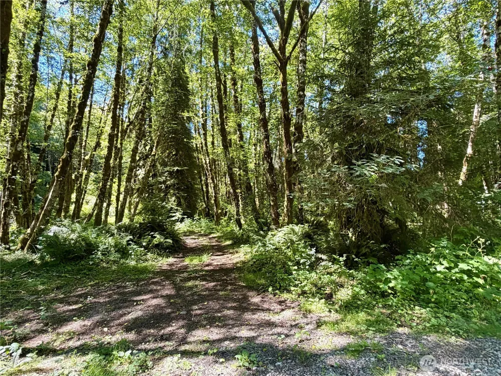 292 Sportmans Club Road Forks, WA 98331
