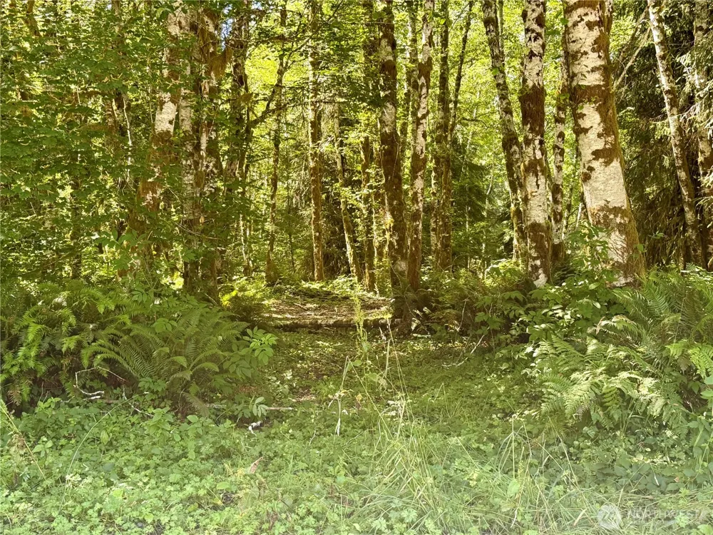 292 Sportmans Club Road Forks, WA 98331