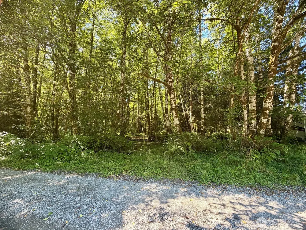 292 Sportmans Club Road Forks, WA 98331