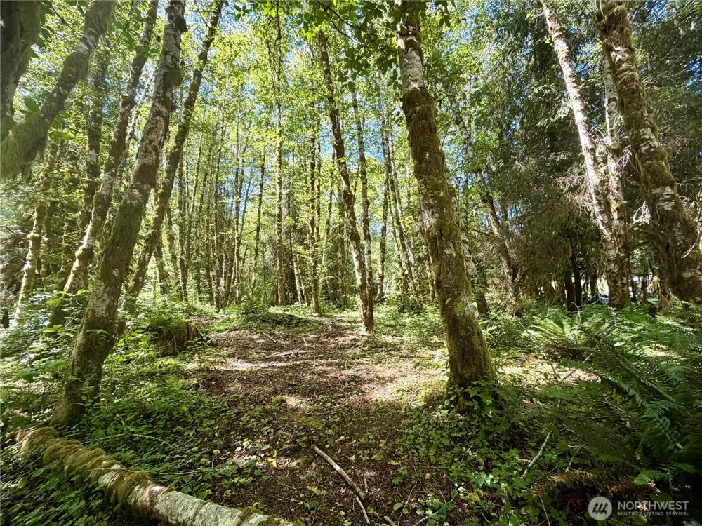 292 Sportmans Club Road Forks, WA 98331