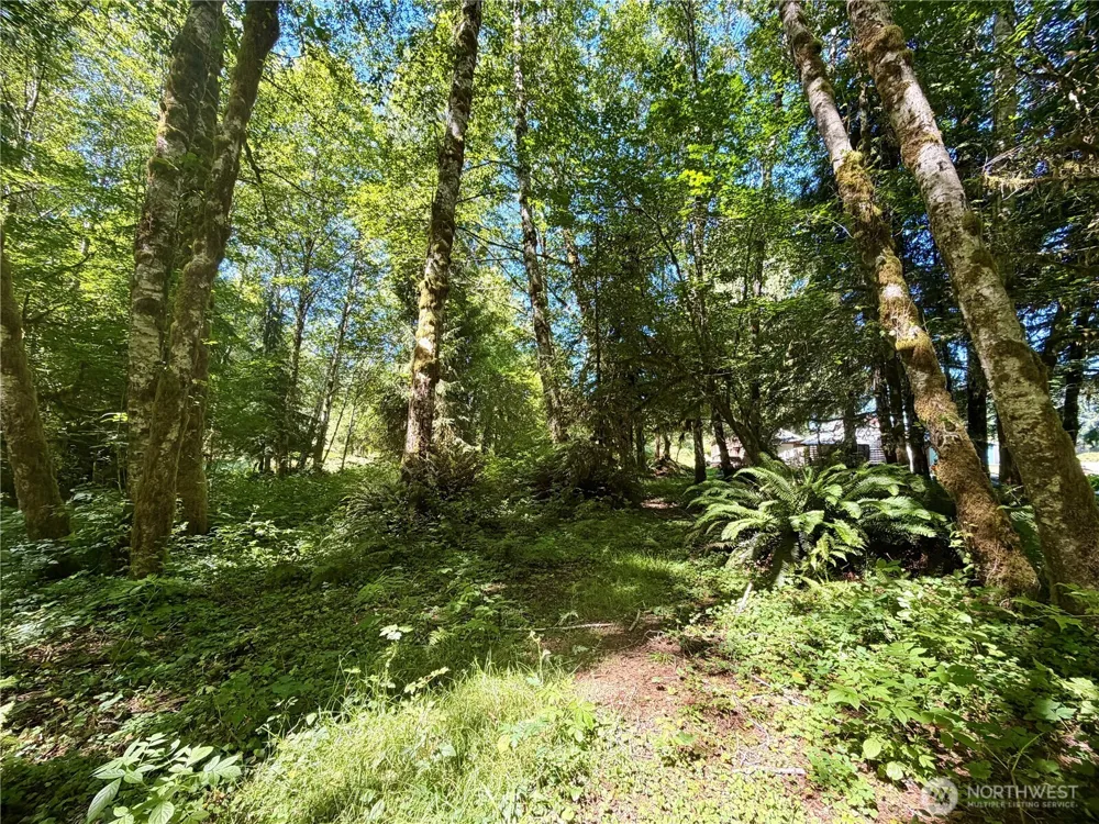 292 Sportmans Club Road Forks, WA 98331