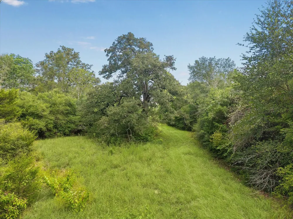 2 Highway 159 W Bellville, TX 77418