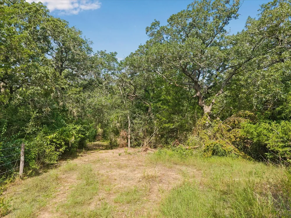 2 Highway 159 W Bellville, TX 77418