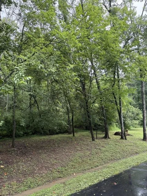 4101 Wallingford Way Franklin, TN 37069