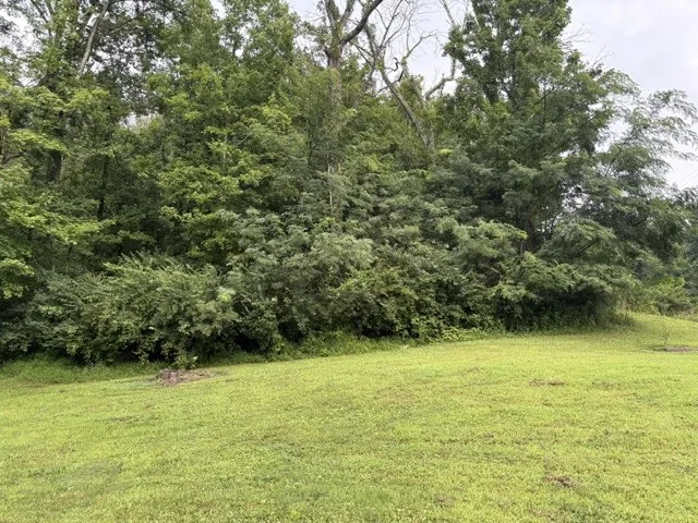 4101 Wallingford Way Franklin, TN 37069