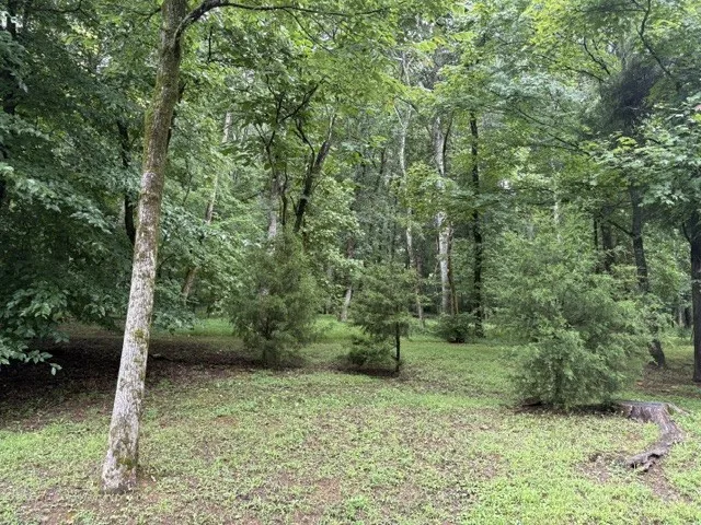 4101 Wallingford Way Franklin, TN 37069