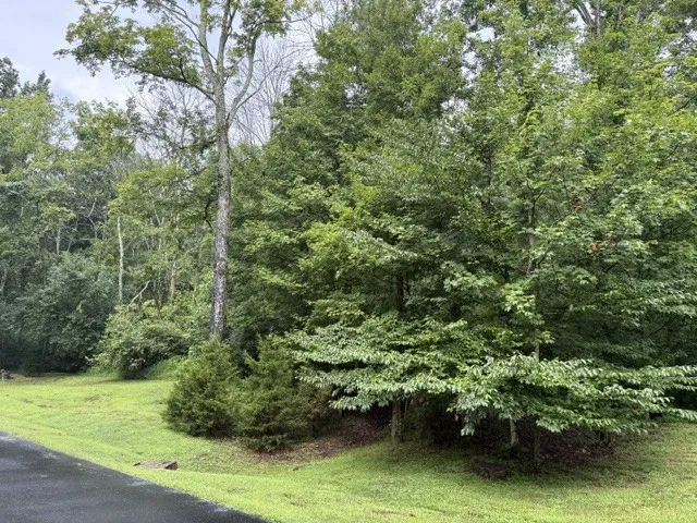 4101 Wallingford Way Franklin, TN 37069