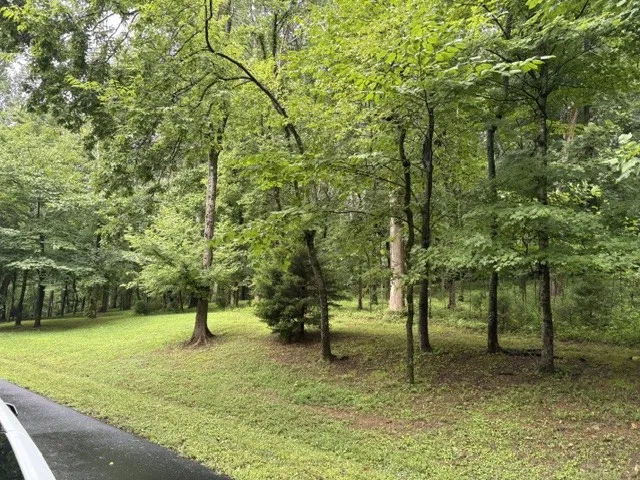 4101 Wallingford Way Franklin, TN 37069