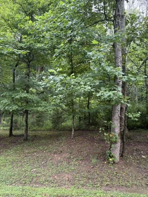 4101 Wallingford Way Franklin, TN 37069