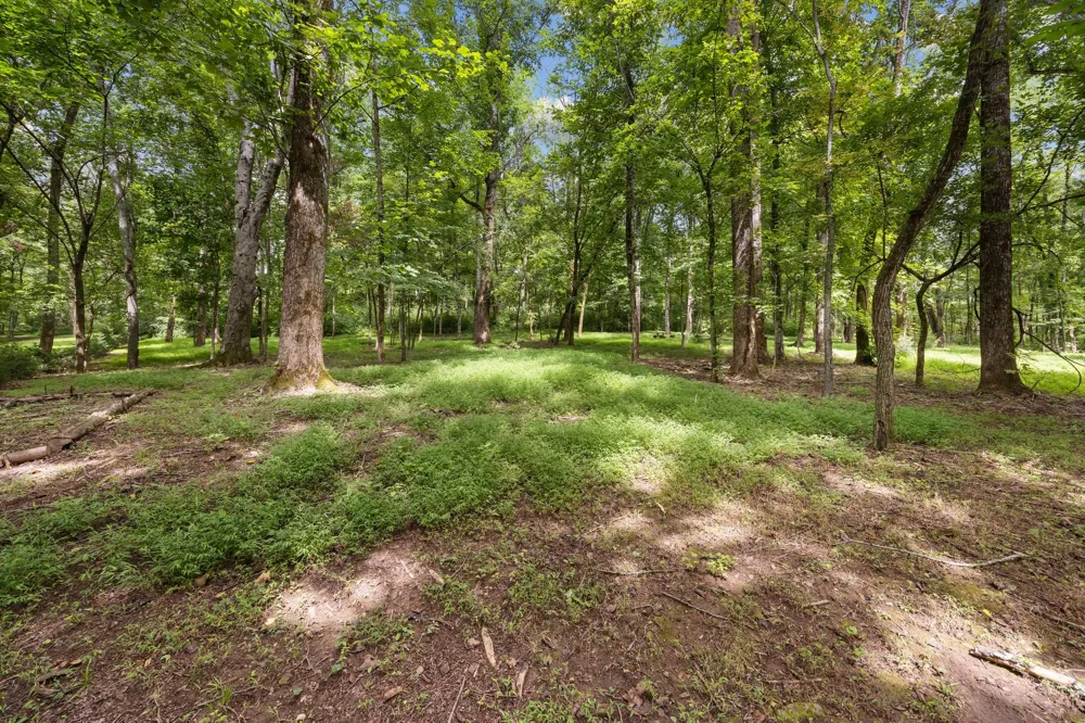 4101 Wallingford Way Franklin, TN 37069