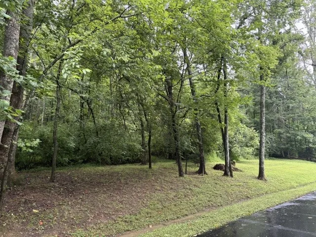 4101 Wallingford Way Franklin, TN 37069