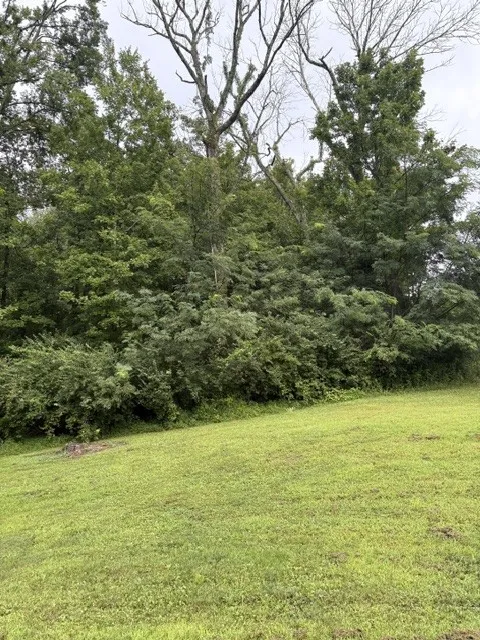 4101 Wallingford Way Franklin, TN 37069