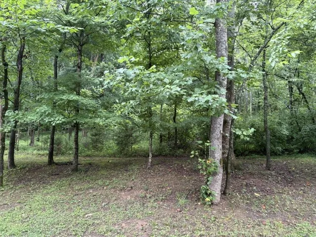 4101 Wallingford Way Franklin, TN 37069