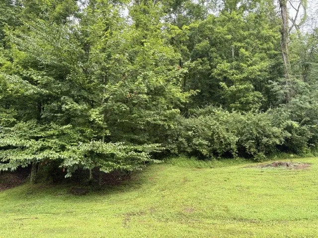 4101 Wallingford Way Franklin, TN 37069