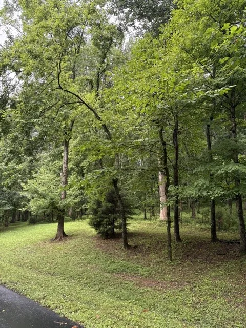 4101 Wallingford Way Franklin, TN 37069