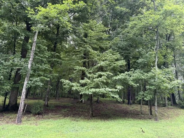 4101 Wallingford Way Franklin, TN 37069