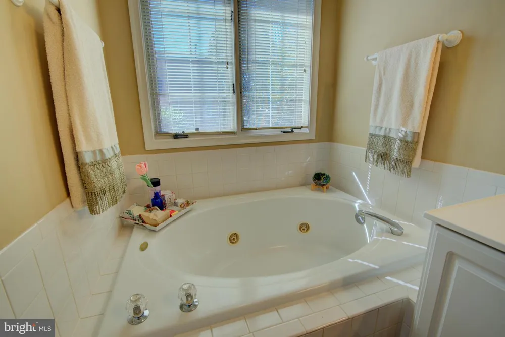 20352 BRIARCLIFF TERRACE Potomac Falls, VA 20165