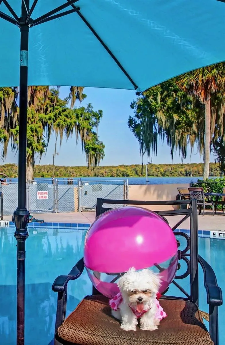 210 RIVER BEND PLACE #B Welaka, FL 32193