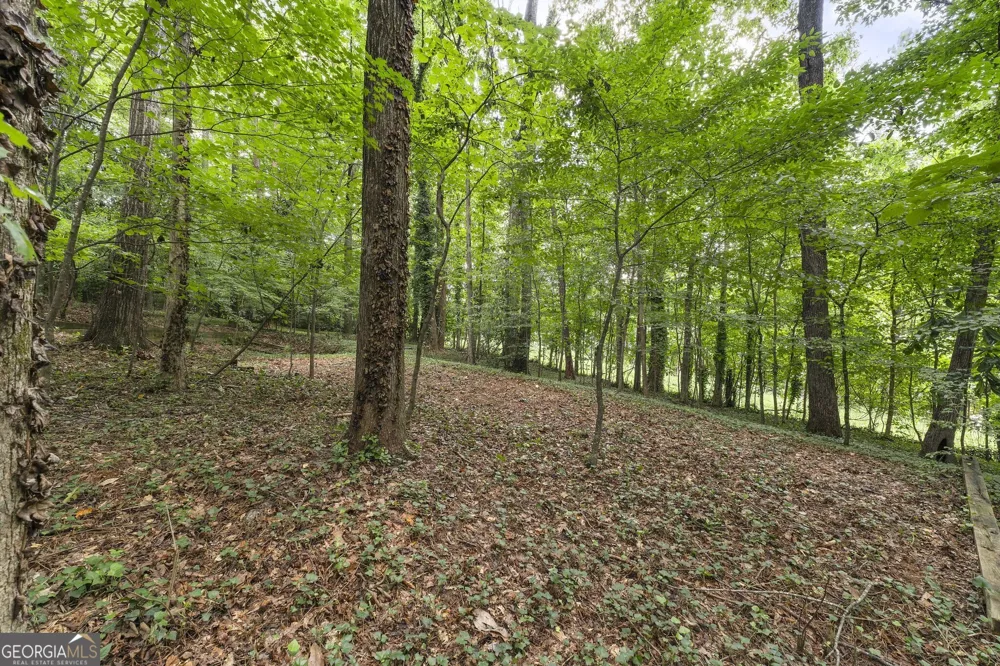 3886 Harts Mill LN Brookhaven, GA 30319