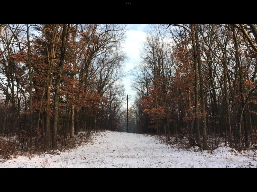 2314 W 15 Mile Road Lilley Township, MI 49309