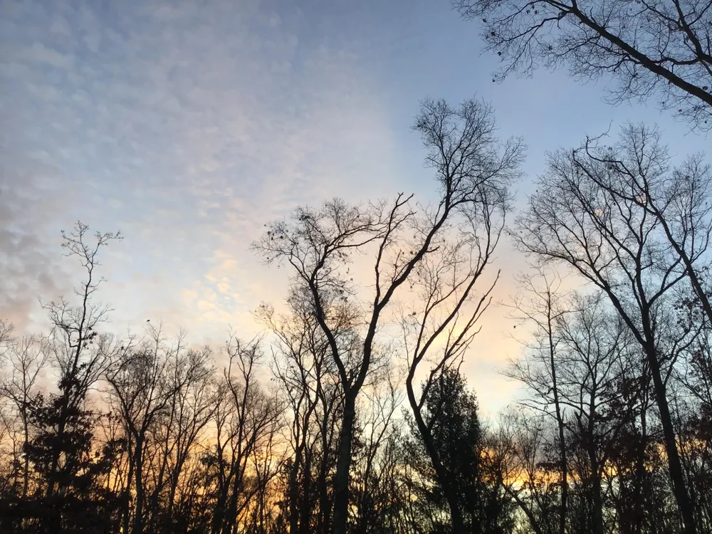 2314 W 15 Mile Road Lilley Township, MI 49309