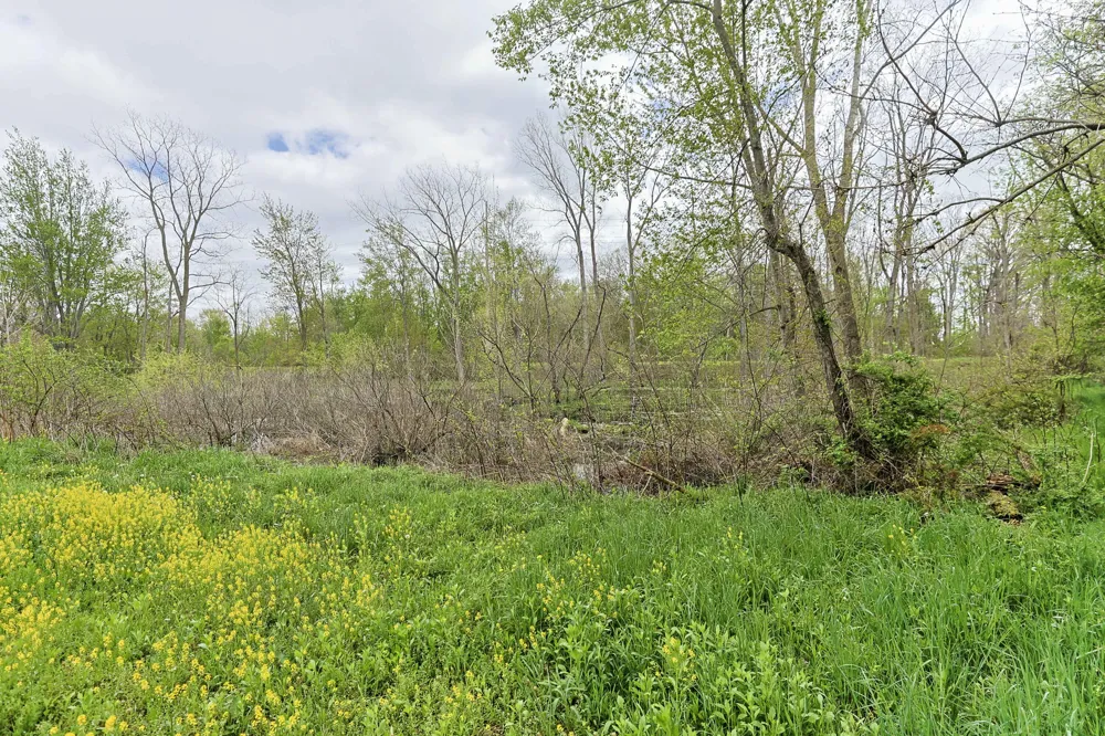V/L White Street Cassopolis, MI 49031