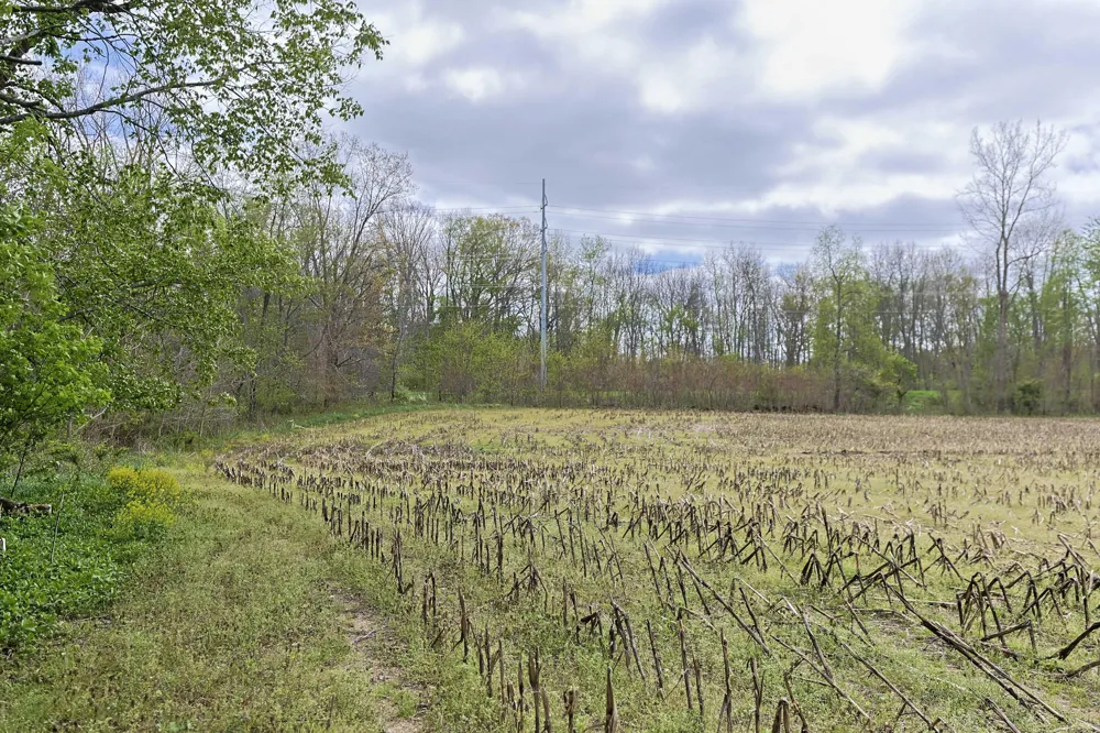 V/L White Street Cassopolis, MI 49031