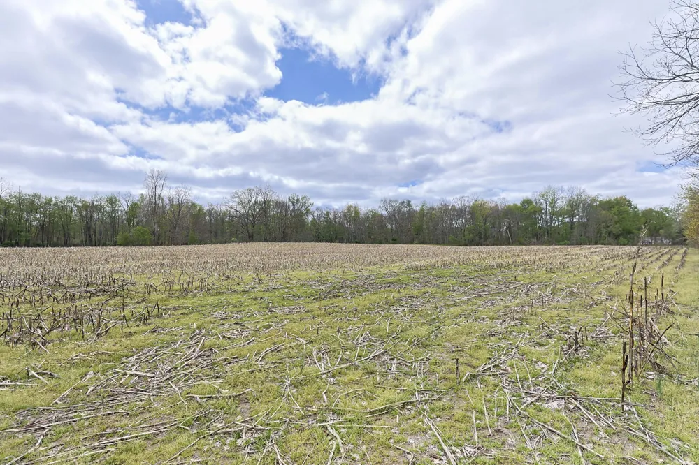 V/L White Street Cassopolis, MI 49031