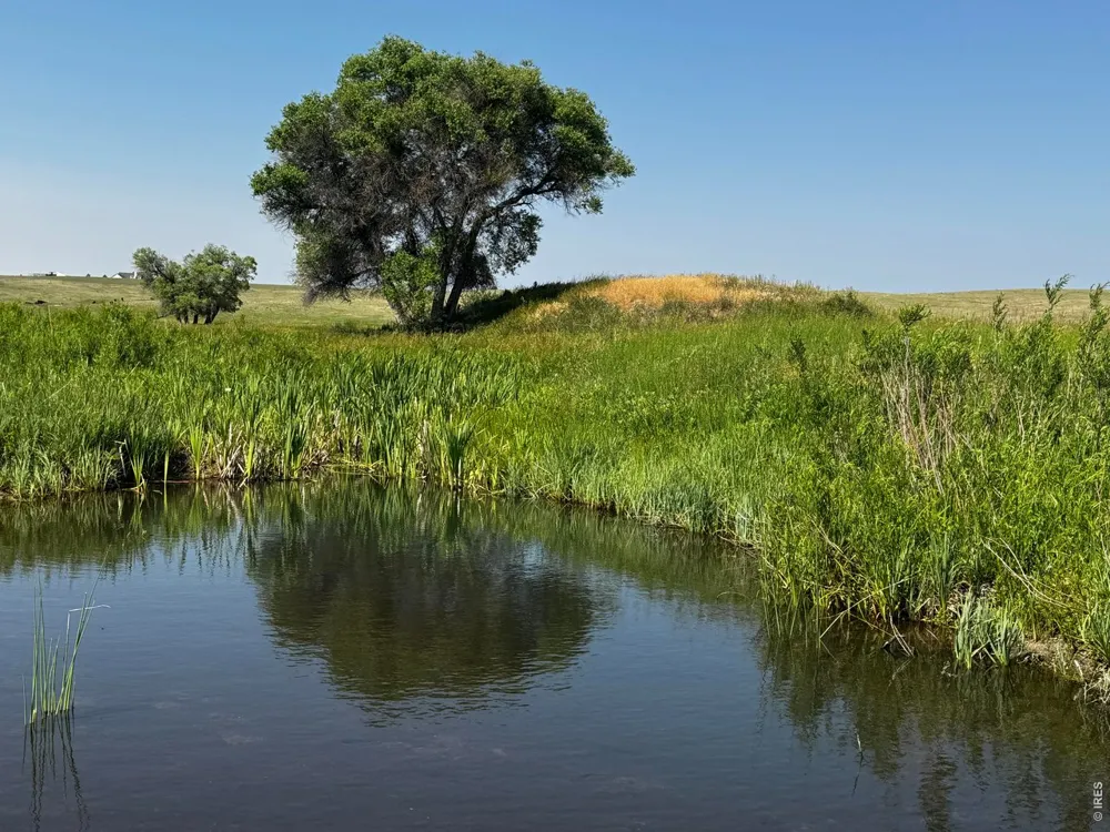 29643 County Road 17/21 Elizabeth, CO 80107