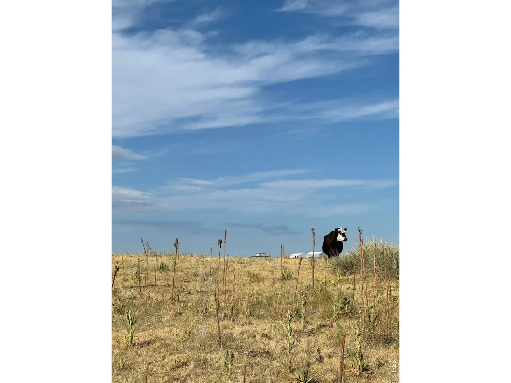 29643 County Road 17/21 Elizabeth, CO 80107