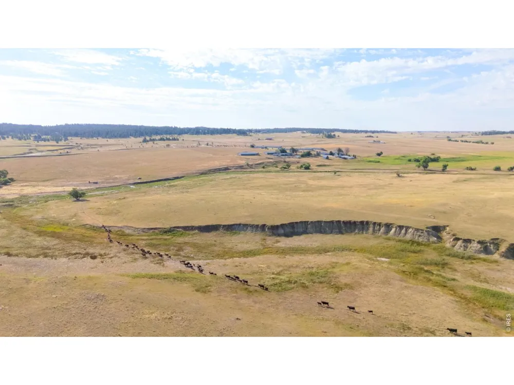 29643 County Road 17/21 Elizabeth, CO 80107