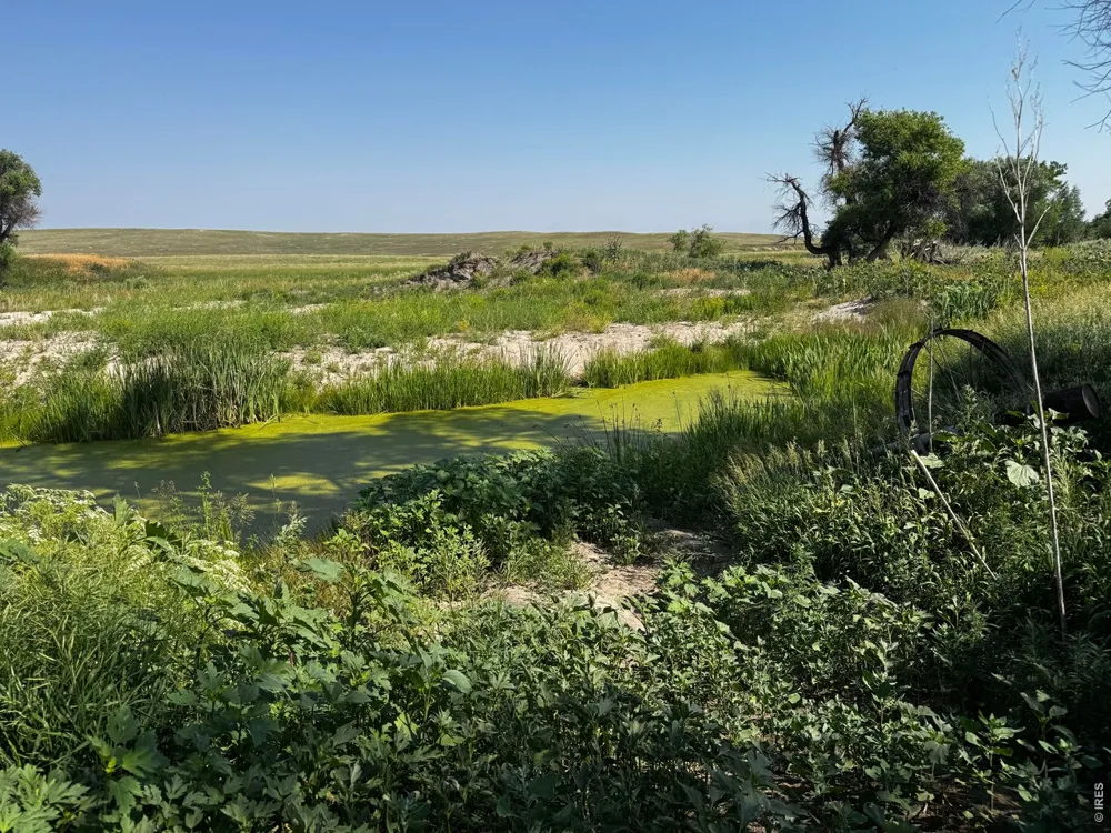 29643 County Road 17/21 Elizabeth, CO 80107